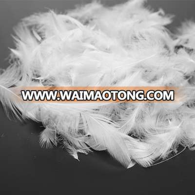 Good quality washed white goose feather price pillow filling material